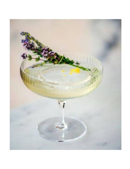 Copa de Champagne Inku