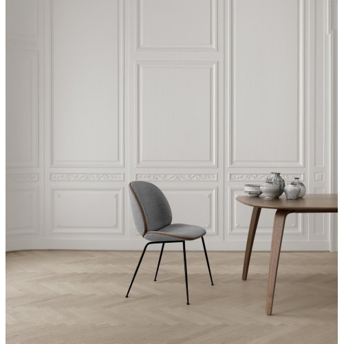 Silla Beetle 2