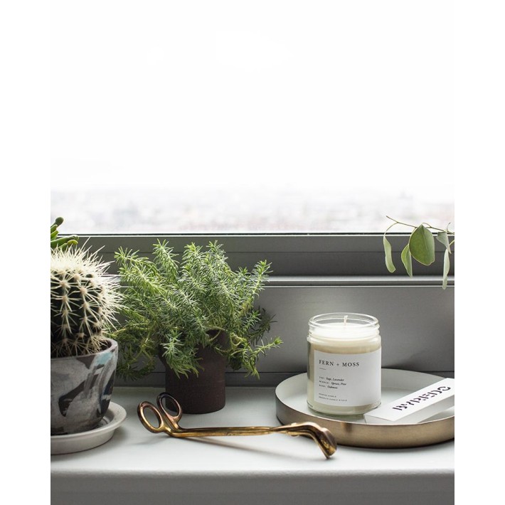 Vela Minimalist Fern + Moss