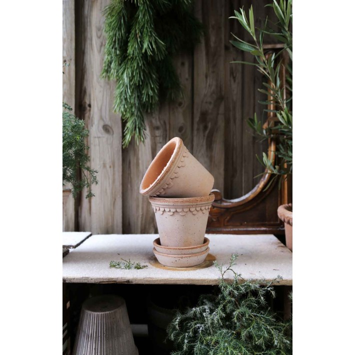 Maceta Rosa Kobenhavner 12 cm