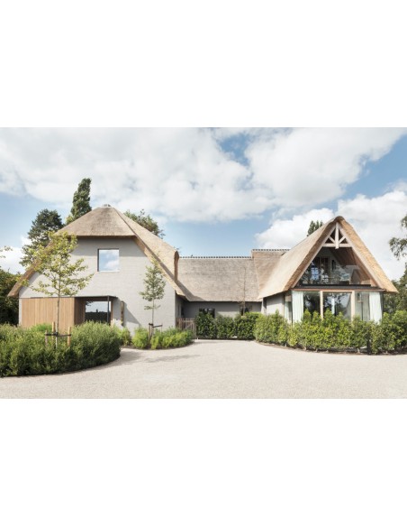 Timeless Living Yearbook 2023