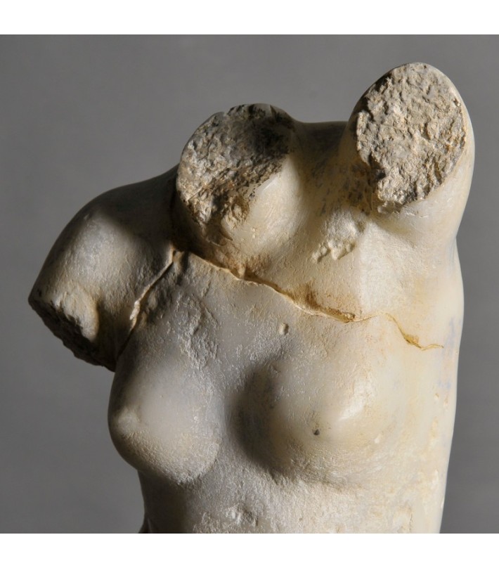 Busto de Venus