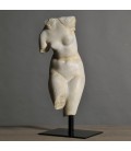 Busto de Venus Busto de Venus