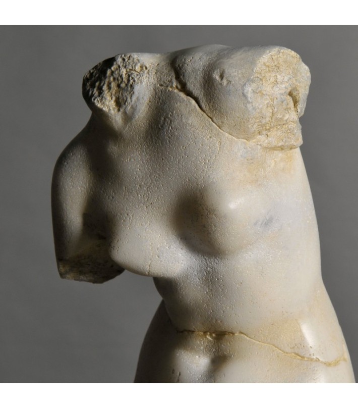 Busto de Venus