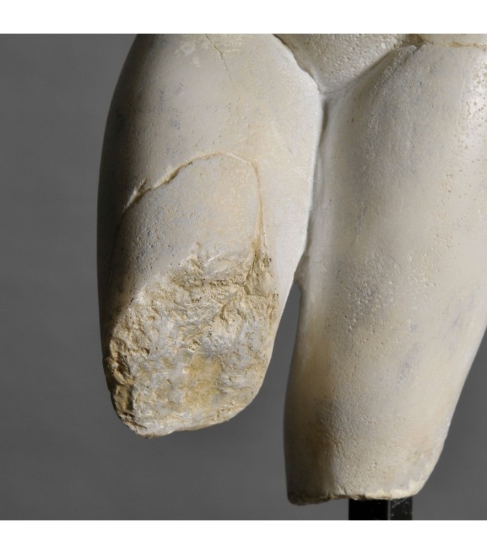 Busto de Venus