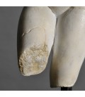 Busto de Venus Busto de Venus