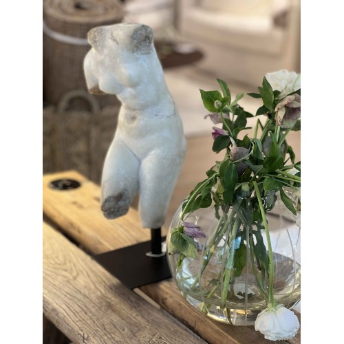 Busto de Venus 2