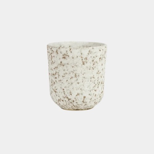 Taza salt