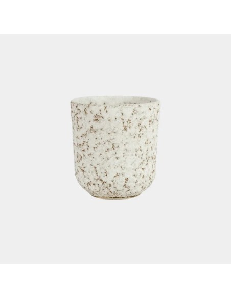 Taza salt
