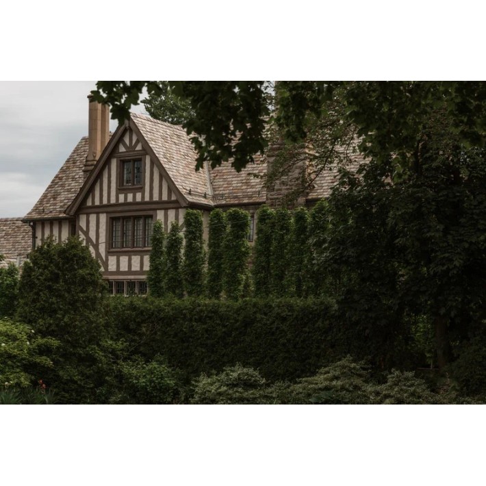 The Art Of Slow Living