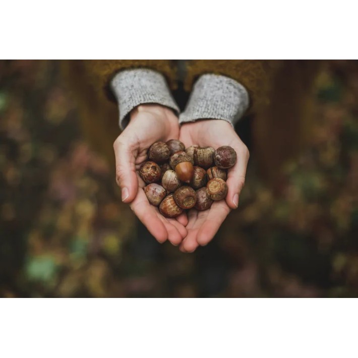 The Art Of Slow Living