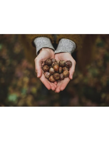 The Art Of Slow Living