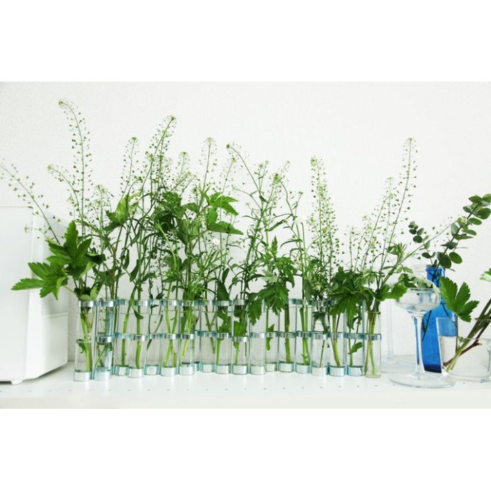 Jarrón Avril Clasico