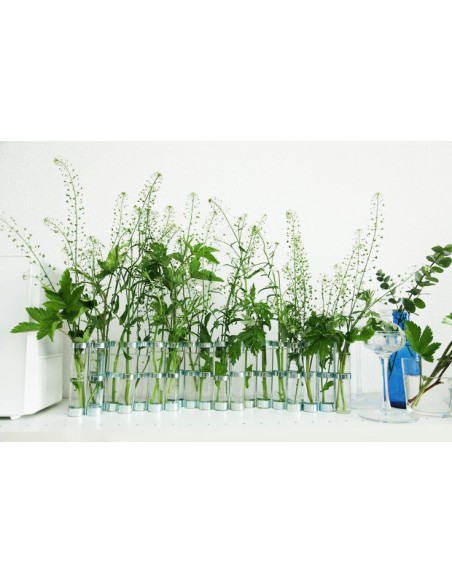 Jarrón Avril Clasico