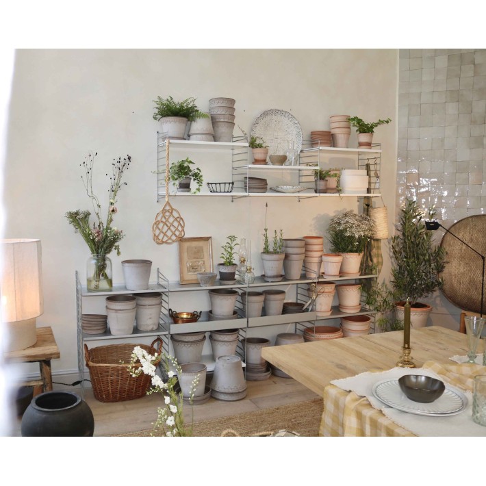 mesa Belgium Farm Expo