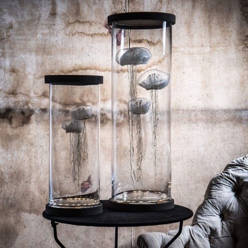 Meduses 2