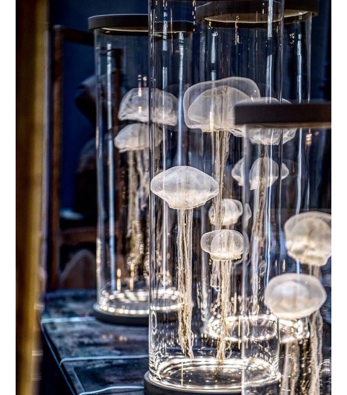 Meduses