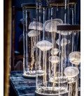 Meduses Meduses