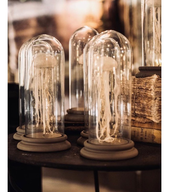 Meduses