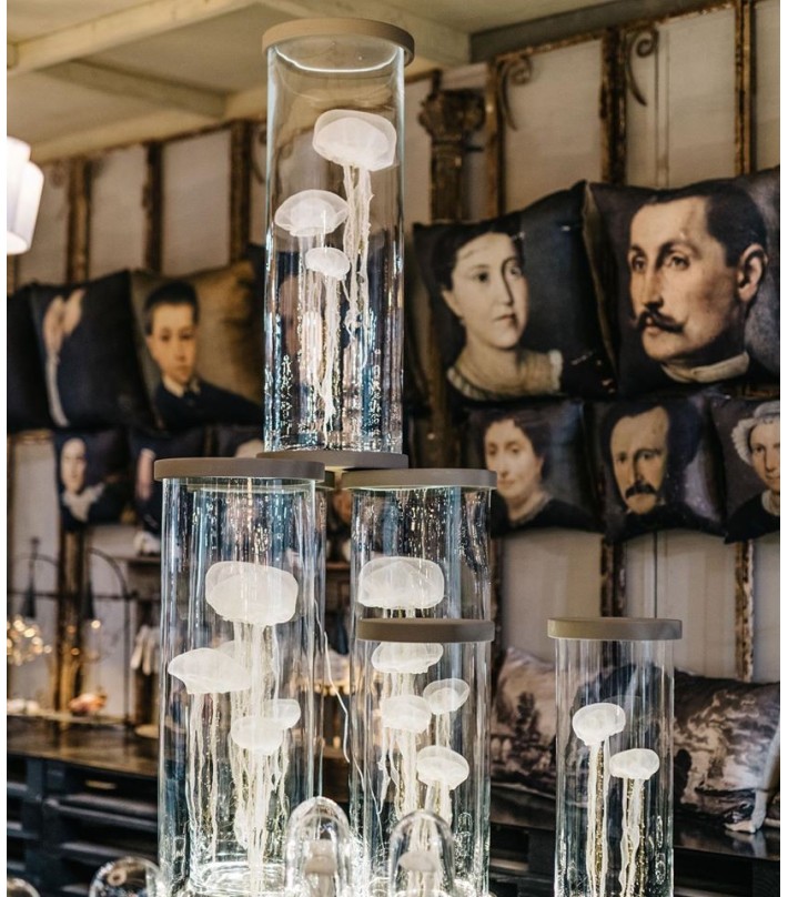 Meduses