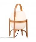 Cesta Cesta