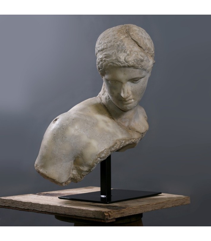 Busto Le Discophore
