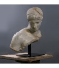Busto Le Discophore Busto Le Discophore