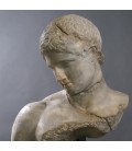 Busto Le Discophore Busto Le Discophore