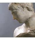 Busto Le Discophore Busto Le Discophore