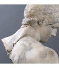 Busto Le Discophore Busto Le Discophore