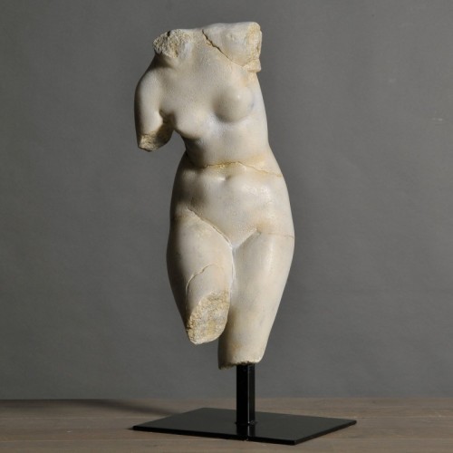 Busto de Venus