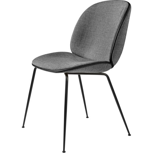 Silla Beetle