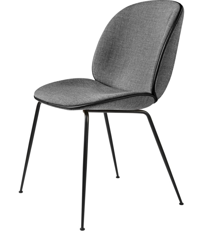 Silla Beetle