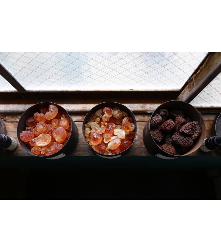 Totem  Terre Noire Vegetal Amber