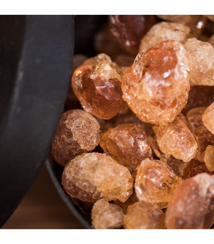 Totem  Terre Noire Vegetal Amber