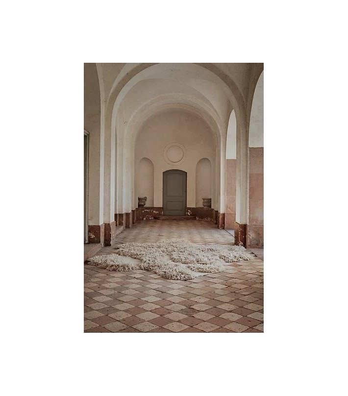 Cappelen Dimyr No. 8