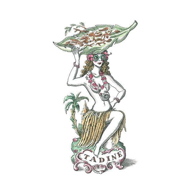 Vela TADINE. Edición especial