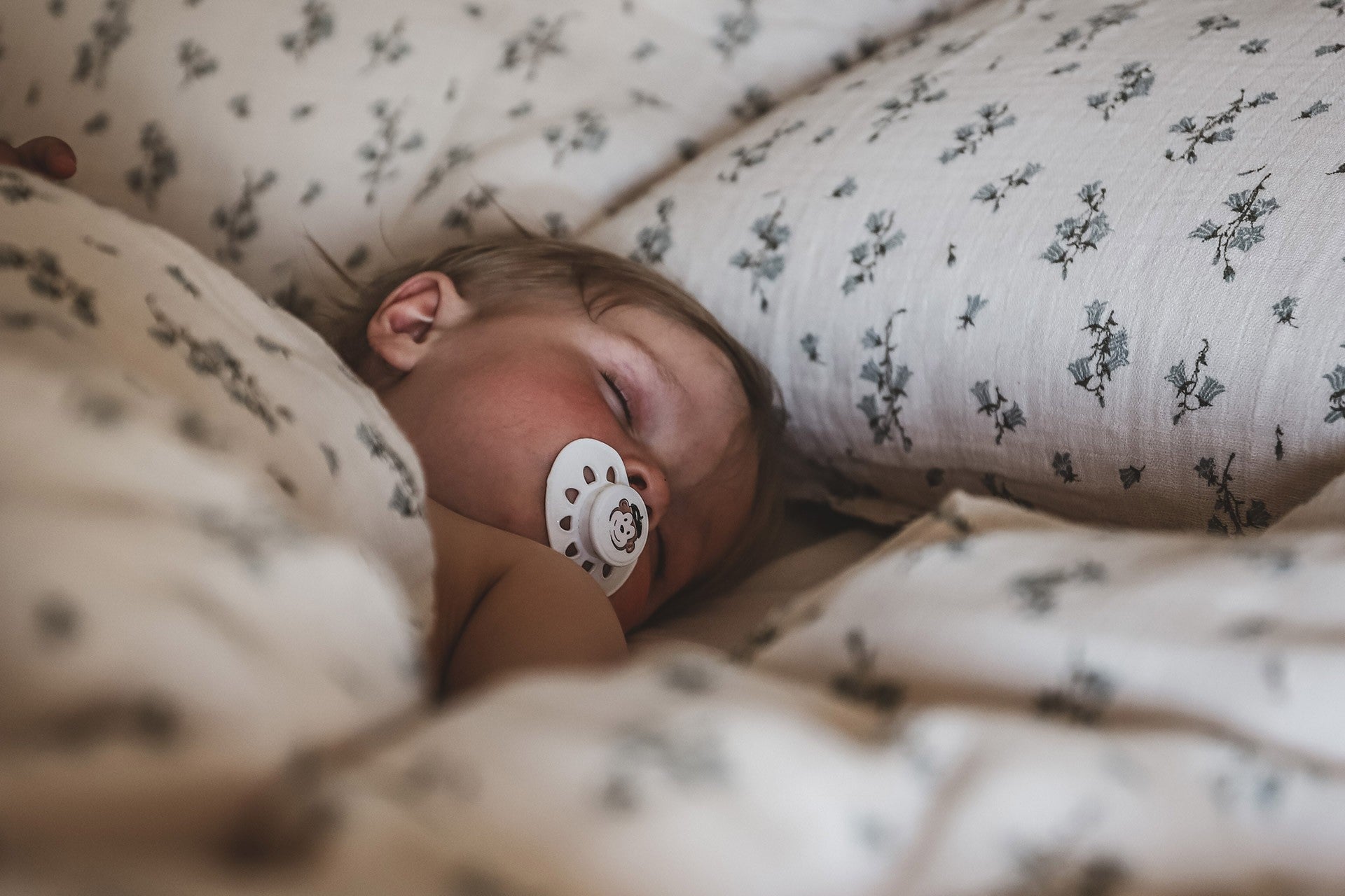 Juego de cama Bluebell Muselina Adulto EU