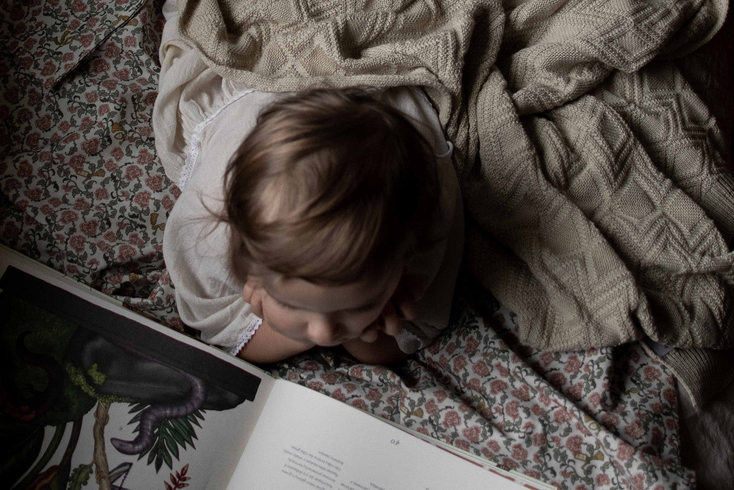 Manta Ollie de algodón Arena