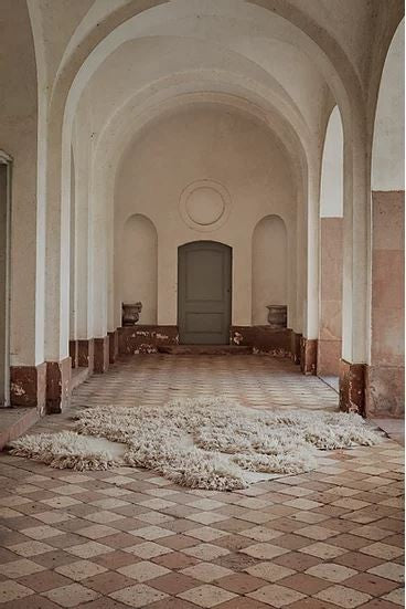 Cappelen Dimyr No. 8