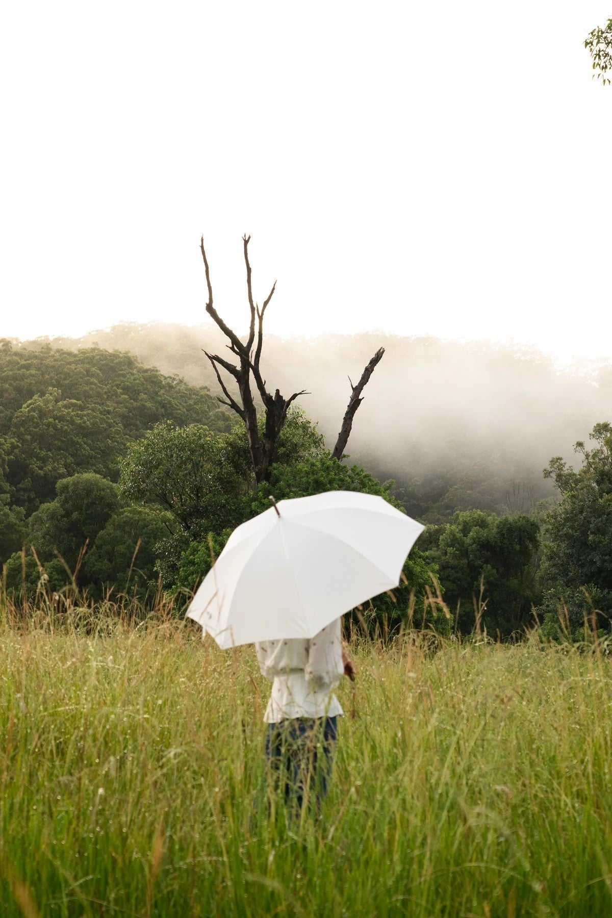 Paraguas Blanco Antiguo