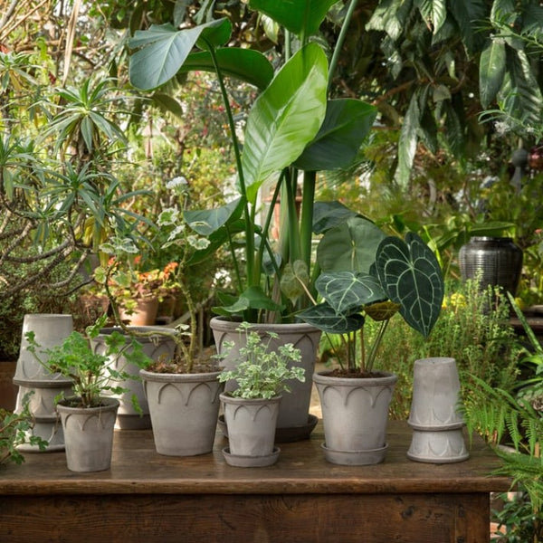 Maceta Gris Kobenhavner 12 cm