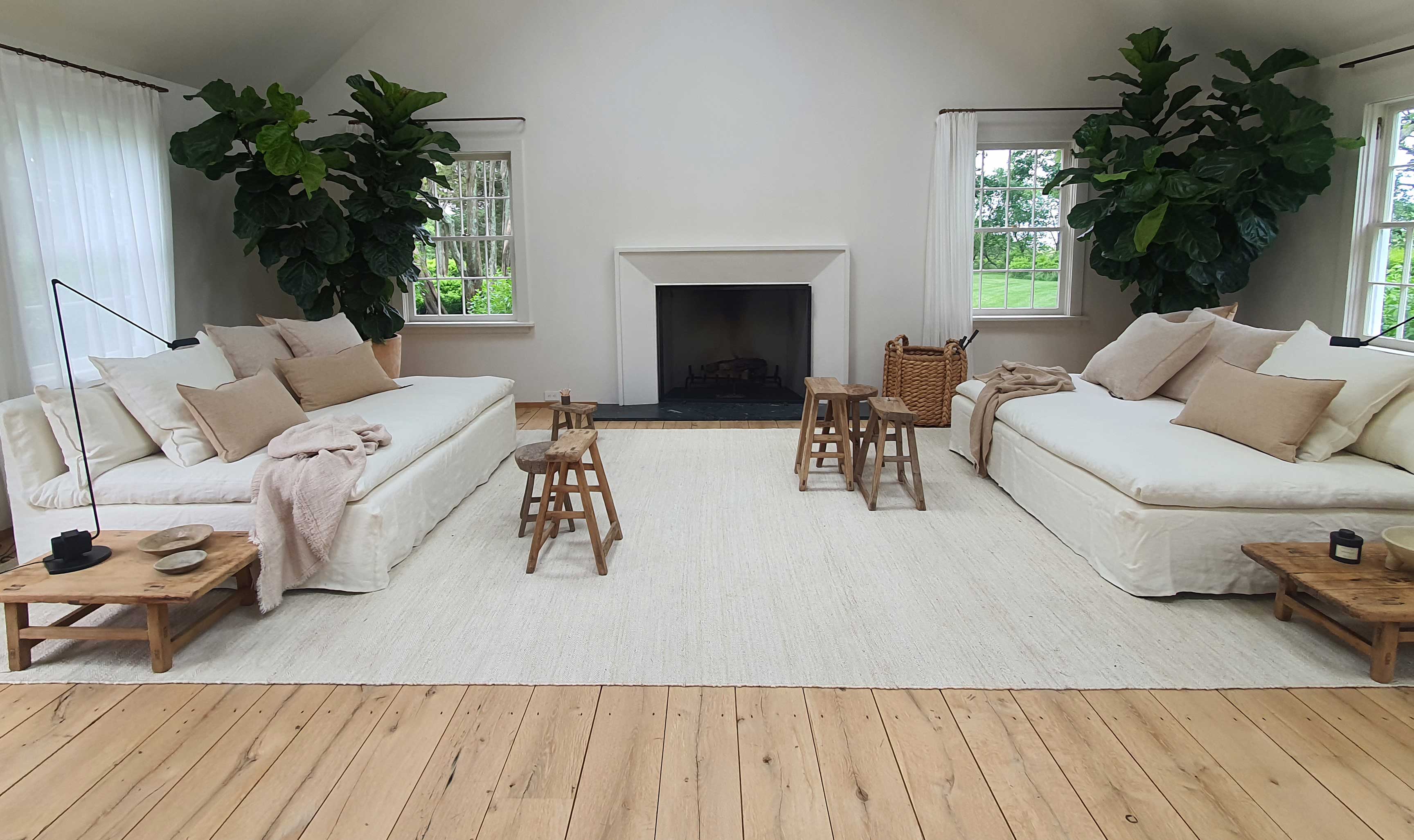 Espacio blanco y luminoso con sofá y vegetación interior